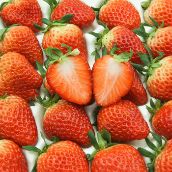 [오커캄스] 논산 설향 딸기 350g 750g