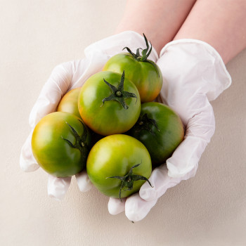 [아침애딴] 짭짤한 대저토마토 로열과 중과 대과 쥬스용 선택