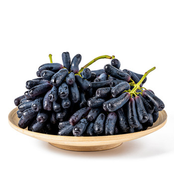 [오커최고] 블랙 사파이어 포도