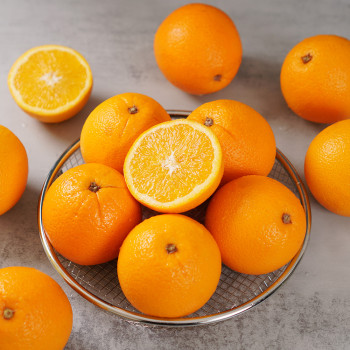 [오커늘푸] 따봉 오렌지 퓨어스펙 5과 10과