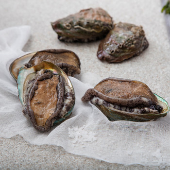 완도 활전복 1kg/700g 8종 택1