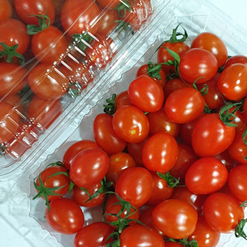 [이가네과일야채] 대추방울토마토 1kg~2kg내외