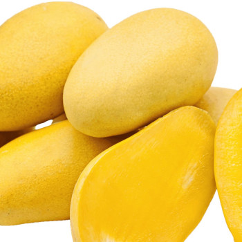 [계양산][무료배송][중앙] 달콤 달달한 부드러운 골드망고 2.5kg