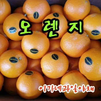 [이가네과일야채] 오렌지 2kg내외