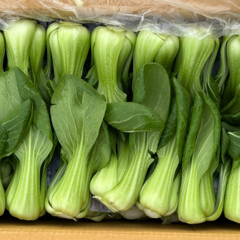 [새벽경매] 국내산 청경채 300g/500g/1kg/2kg/4kg