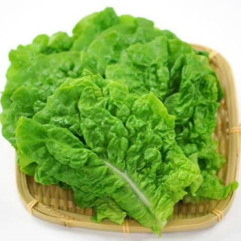 [남도애] 국산 특품 싱싱한 청상추 2kg