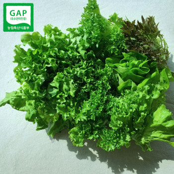 [딱! 7일 특가] [GAP 인증] 유러피안 샐러드 (800g/1kg/2kg 택1)