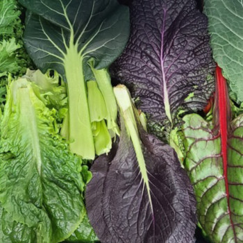 [남도애] 국내산 모듬 쌈채소(8종류내외) 1Kg/2Kg