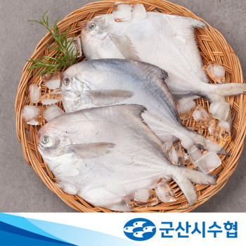 [군산시수협] 저염 반건조 손질 병어 3마리 170g x 3팩