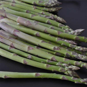 [남도애] 국내산 생 아스파라거스 1Kg