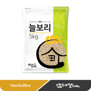 국산 늘보리 5kg/10kg(5kgX2) 탱글탱글 구수한맛 햅쌀