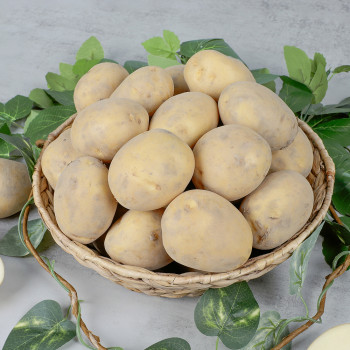 [아침애딴] 26년 햇감자 100% 국내산 우리땅에서 자란 포슬포슬 수미감자 1kg 3kg 5kg 10kg