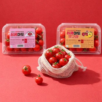 ㅣ온부자유통 설탕뿌려먹던 토마토맛ㅣ스테비아 대추방울 토마토 망고향/한라봉향/일반맛 500g 단마토 1kg