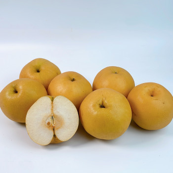 가정용 25년 햇배 달콤 시원 3kg,5kg