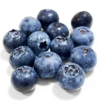 아침에 수확하고 예냉 방법으로 재배한 국내산 생 블루베리 (18~20mm)