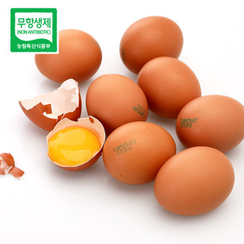 난각번호 1번 무항생제 자연방목 유정란 20구 자연방사유정란 계란 달걀