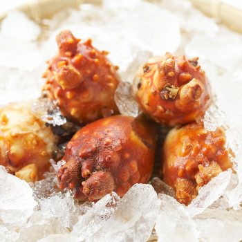 [딱! 7일 특가] [아침애딴] 가성비 활 멍게 3kg 6kg 9kg/중사이즈 1kg/대사이즈 1kg/깐멍게500g 골라담기