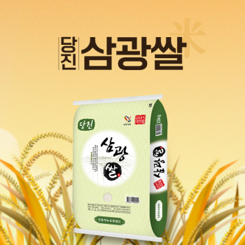 당진 25년 햅쌀 삼광미 10kg 20kg