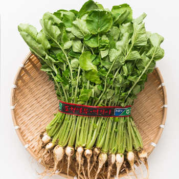 국내산 아삭 부드러운 열무 1단(2kg내외)/2단/3단