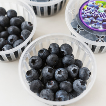 국내산 생블루베리 (100g 10팩) 상 특 왕특 1kg