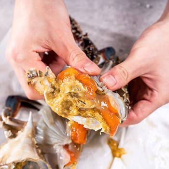 [당일조업] 봄 활 암꽃게 1kg(3-6미)/ 2kg