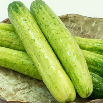 [오커최고] 촉촉 백오이 아삭 하얀오이 1kg 2kg 3kg 5kg