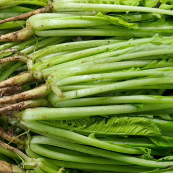 [남도애] 국산 손질한 여린열무 특품 2kg/4kg 선택