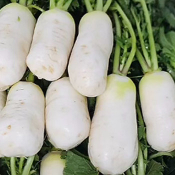 [남도애] 국산 손질한 총각무(알타리무) 1단/2단 선택