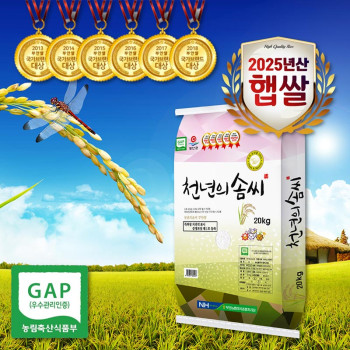 [천년의솜씨] 25년 GAP인증 간척지쌀 신동진쌀 20kg(상등급)