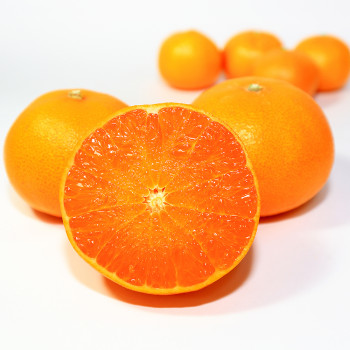 [부엌애] 제주 감귤 고당도 만감 당일선별 천혜향 3kg