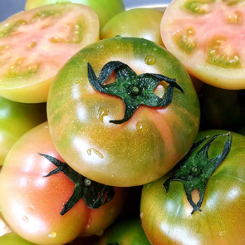 [문토마토] 단짠단짠 맛있는 일반 대저토마토 대과 2.5kg(L과)