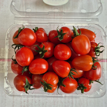 [계양산][무료배송][공원] 대추 방울토마토