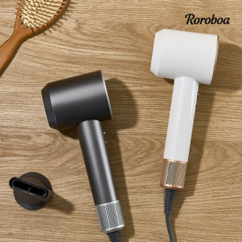 [로로보아] 에어아르떼 BLDC 헤어드라이기