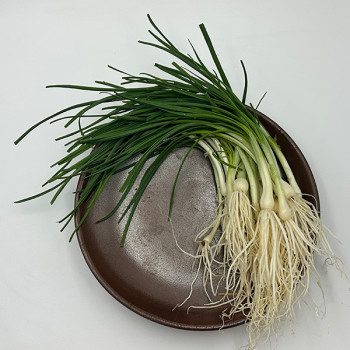 [오커캄스] 향긋 달래 세척 달래 300g 500g 1kg