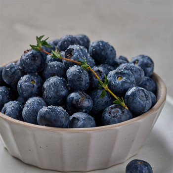 [오커최고] 국내산 블루베리 생과 블루베리 18~20mm