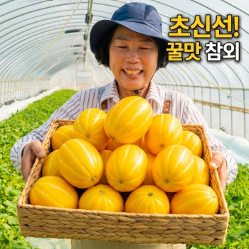 (산지직송) 성주 꿀 참외 못난이혼합 랜덤과 (꼬꼬마 ~대과 혼합 또는 랜덤발송)