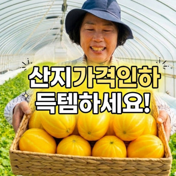 (산지직송 ) 성주 꿀 참외  꼬마과 (1kg~10kg까지) 박스포함중량