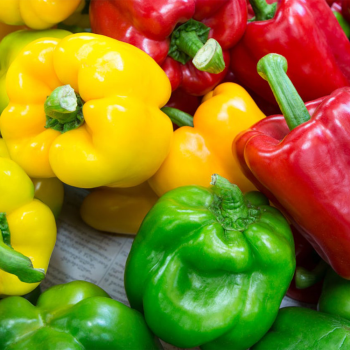 [남도애] 국산 파프리카 못난이 1kg/2kg/3kg (크기/색상 랜덤 개당 40~150g)