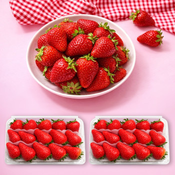 온부자유통 새콤달콤 딸기 대과 1kg