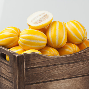 [혼합과]성주 가정용 달콤한 제철 참외 (5kg)