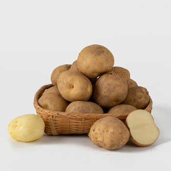 [오커최고] 포슬 감자 2kg 3kg 5kg 중 대 특 왕특 사이즈