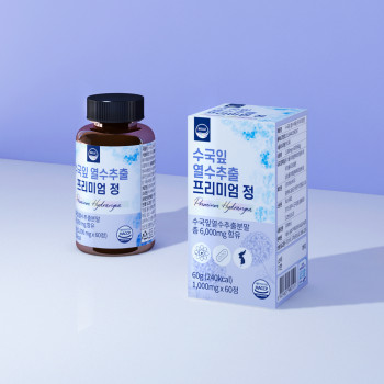 웰리즈 수국잎 열수추출 프리미엄정 1,000mg*60캡슐(60g),1개
