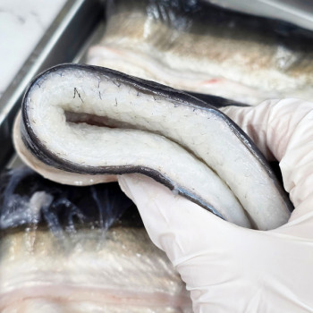 [자포니카] 민물장어 손질전 1kg [손질후 750g내외][소스2종/초생강증정]