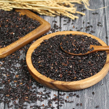 (25년산) 홍성농부의 찰흑미 1kg 직접도정