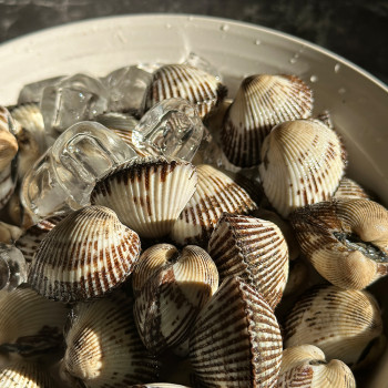 새꼬막(소) 1kg (120미 내외)