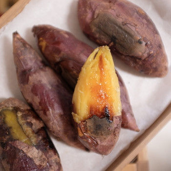 해남 꿀밤고구마