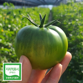 프리미엄 대저토마토 2.5kg