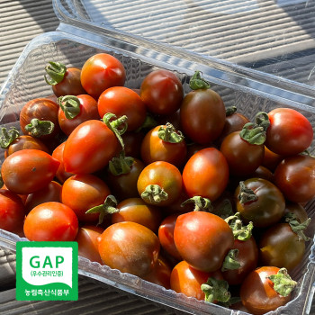 흑대추방울토마토