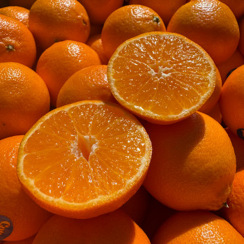 당도최강 만다린 귤