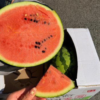 하우스 수박 고당도 꿀수박 산지직송 특상품